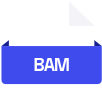 BAM files for Whole Genome Sequencing