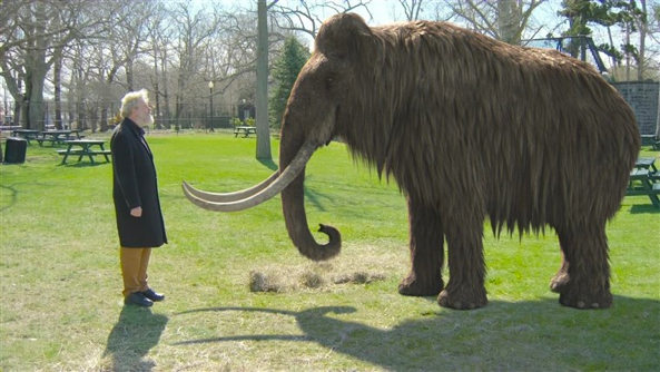 Reviving the woolly mammoth